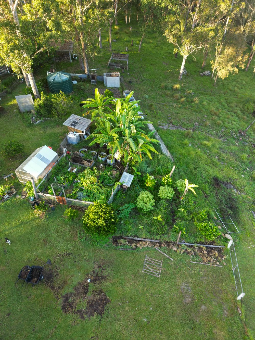 Food forest at Drake, inland from Lismore